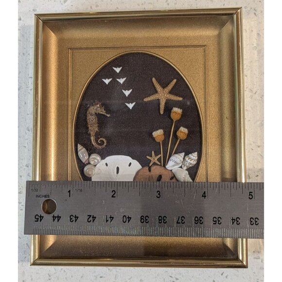 Sand Dollar Nautical Shell Art Betty Shepard Shadow Box Frame Seahorse & Starfis - Picture 5 of 11